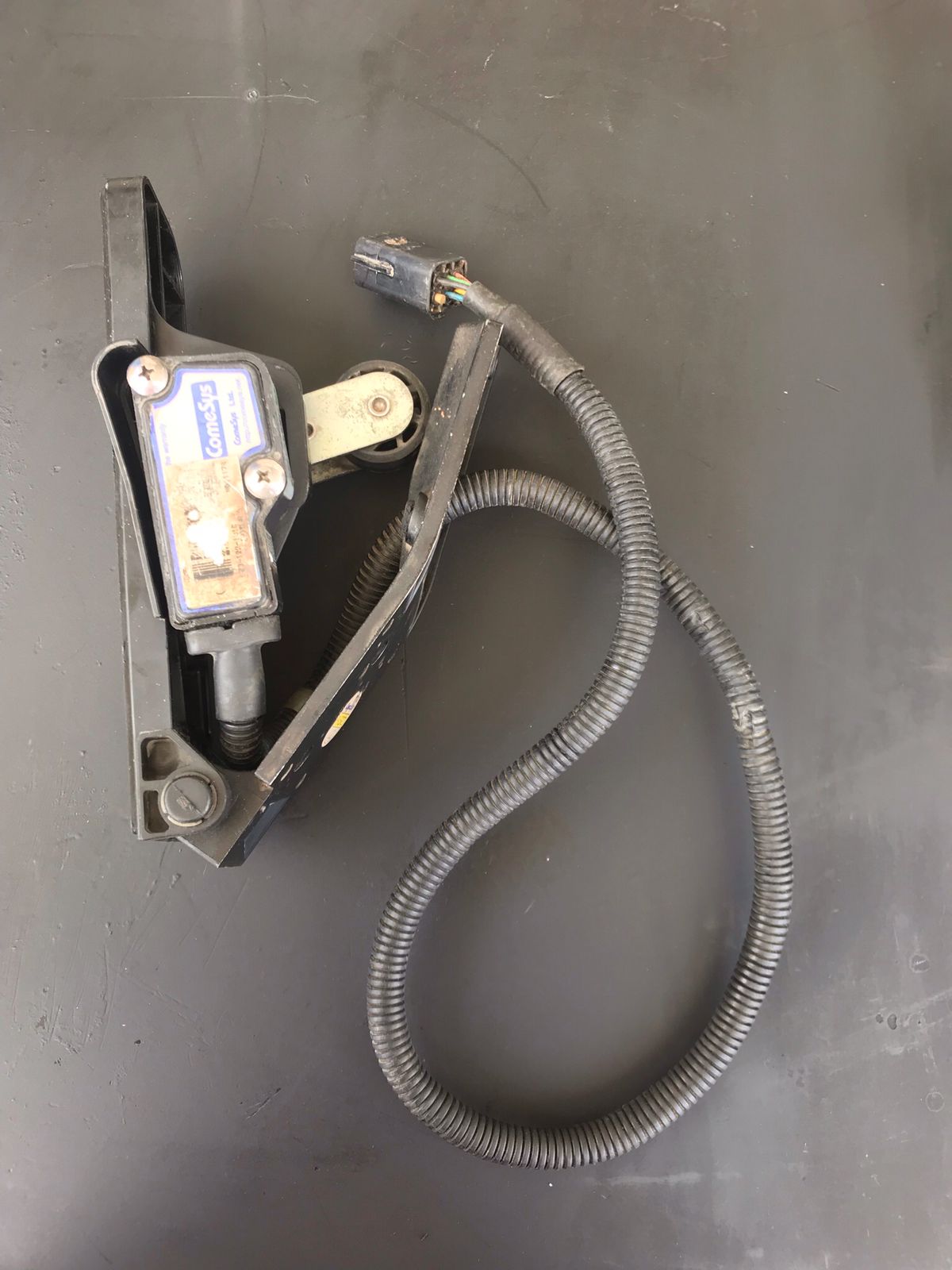 WhatsApp Image 2021-11-03 at 19.26.45 (1)