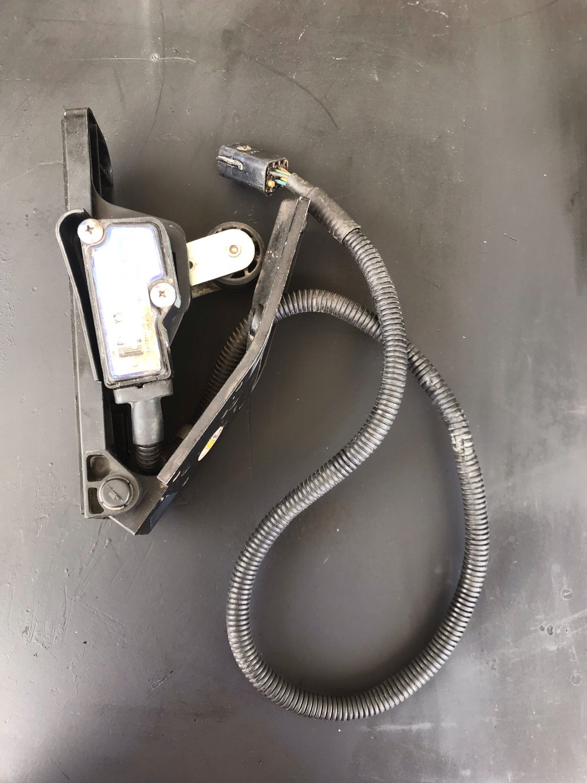 WhatsApp Image 2021-11-03 at 19.26.45